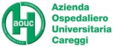 auc logo